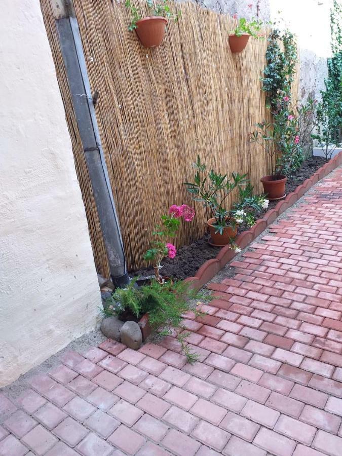 Apartament Sara House Bystrzyca Zewnętrze zdjęcie